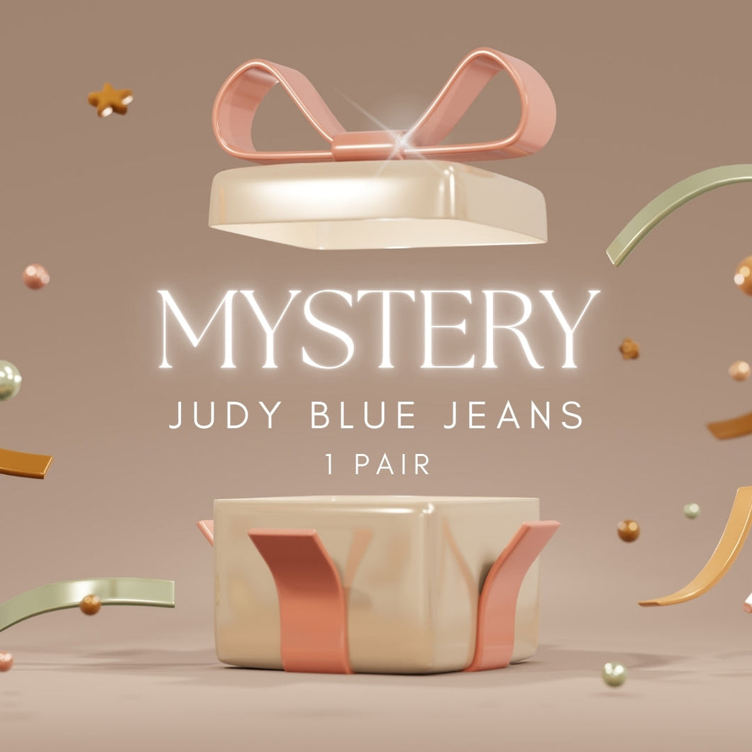 Mystery Judy Blue One Pair